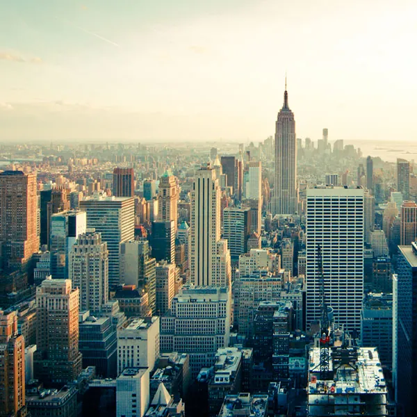The city is beautiful and so are the NYC escorts that reside there. 